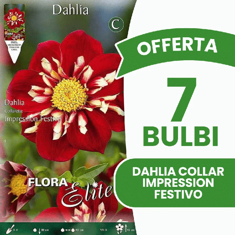 peragashop43575738