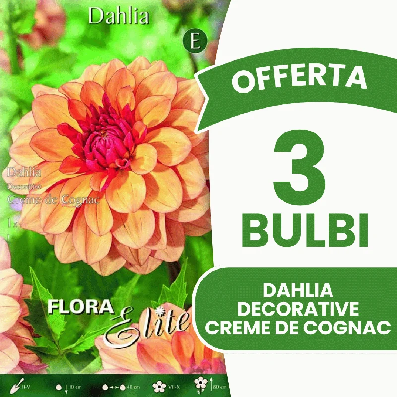 peragashop43576188