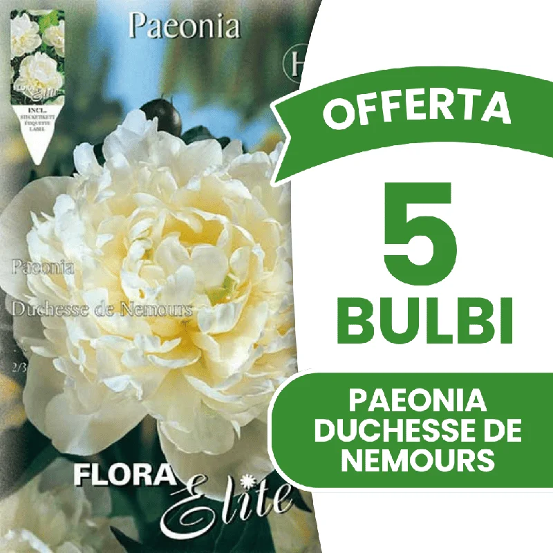 peragashop43576686