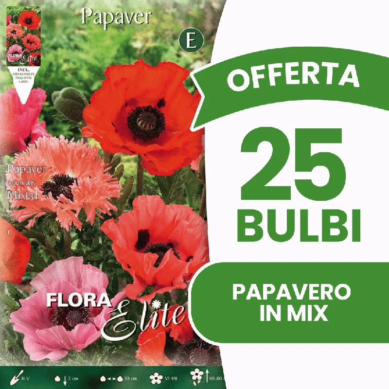 peragashop43576698