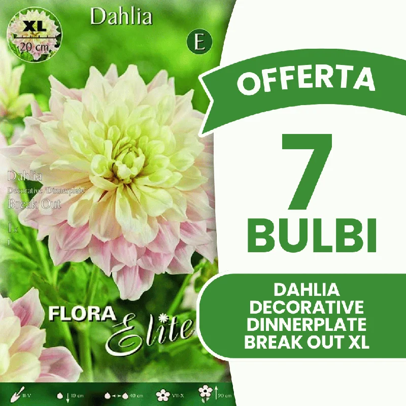 peragashop43841215