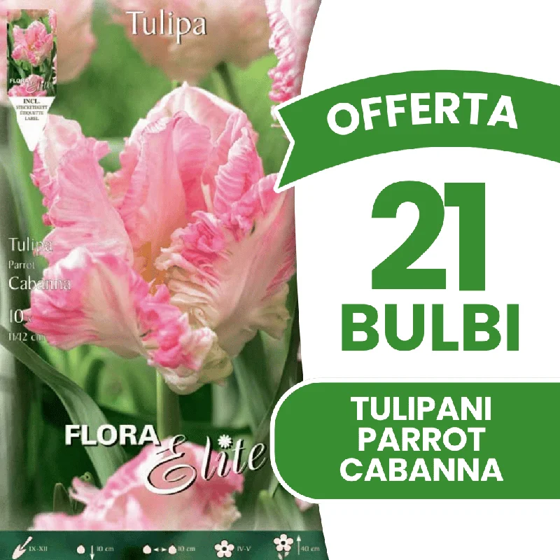 peragashop43854912