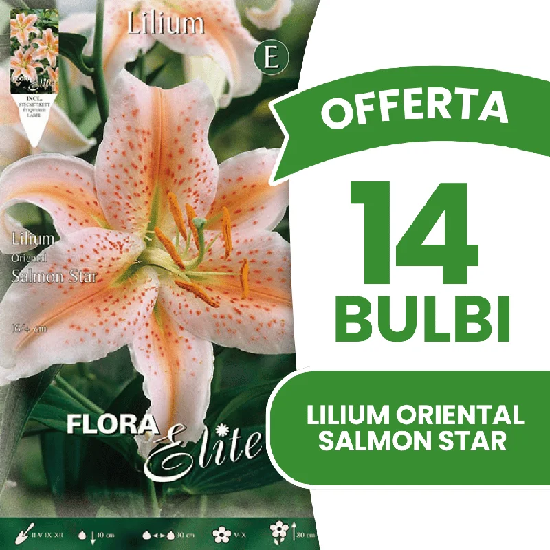 peragashop43856607