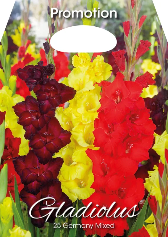 peragashop43856688
