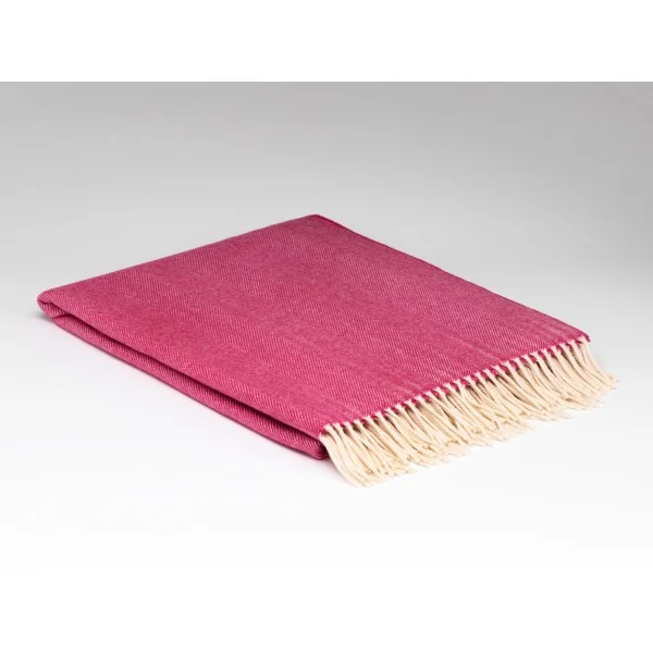 scantex-shop-3502136