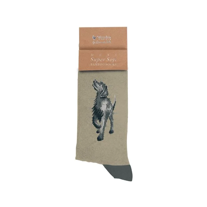 scantex-shop-3503306