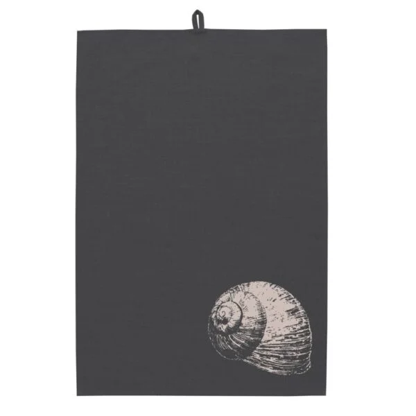 scantex-shop-3504377