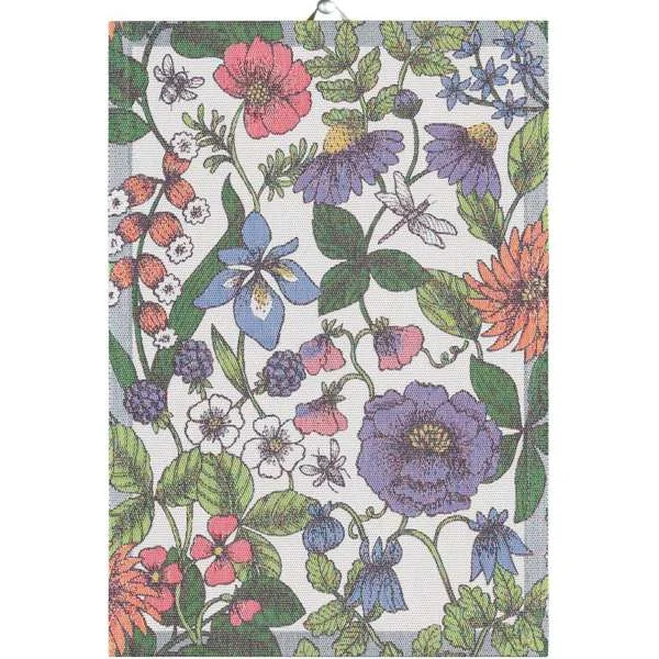 scantex-shop-3504818