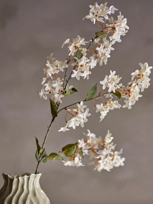 viamaja23560510